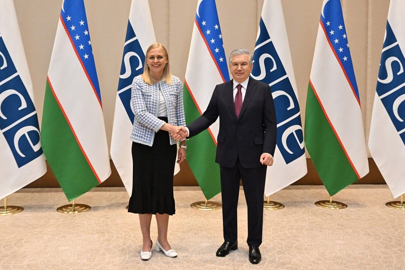 Президент Узбекистана принял действующего председателя ОБСЕ