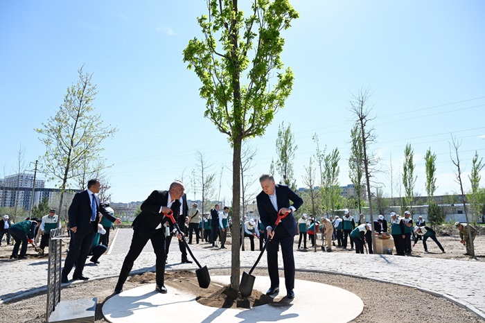 Началось создание Национального дендрологического парка
