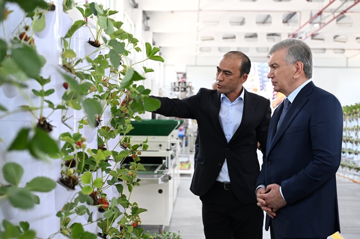 Население обучают получать доход до 250 миллионов сумов с 10 соток