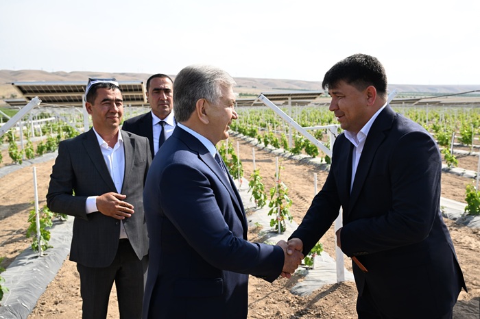 Глава государства ознакомился с технологией агровольтаики, внедренной в Куве