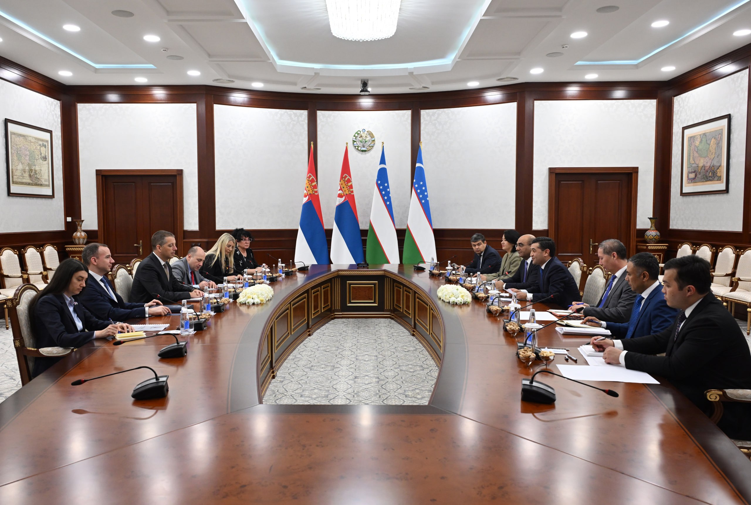Meeting of the Foreign Minister with the Minister of Foreign Affairs of Serbia