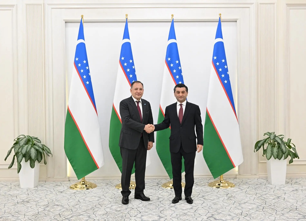 The Foreign Minister received copies of the credentials of the newly appointed Ambassador of Kazakhstan