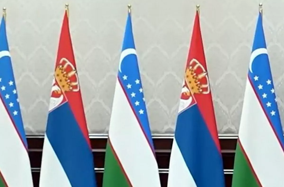 Prospects for Uzbekistan–Serbia Cooperation in the ICT Sector