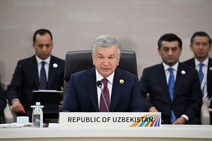 Выступление Президента Республики Узбекистан Шавката Мирзиёева на первом саммите «Центральная Азия – Республика Корея»