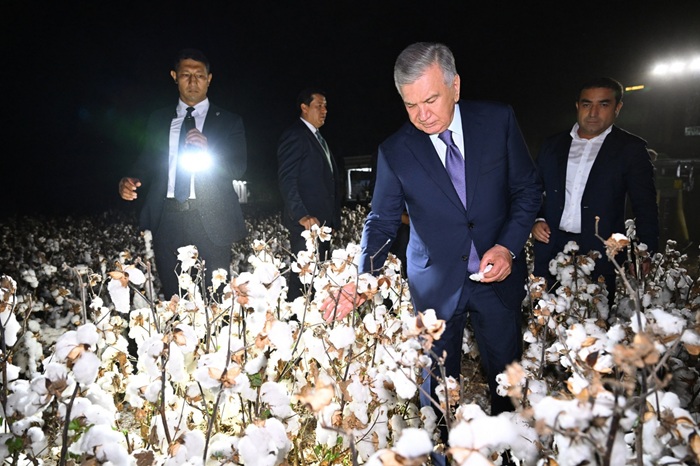 Cotton yields doubled thanks to advanced technology