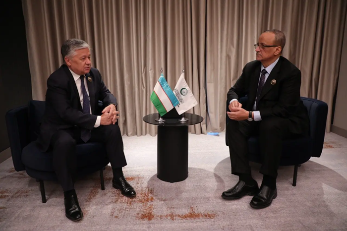 Meeting of the First Deputy Foreign Minister of Uzbekistan with the OIC Secretary-General